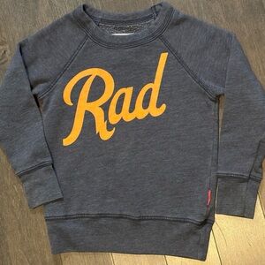 Prefresh RAD Toddler Gray Crewneck Sweatshirt, Size 2T